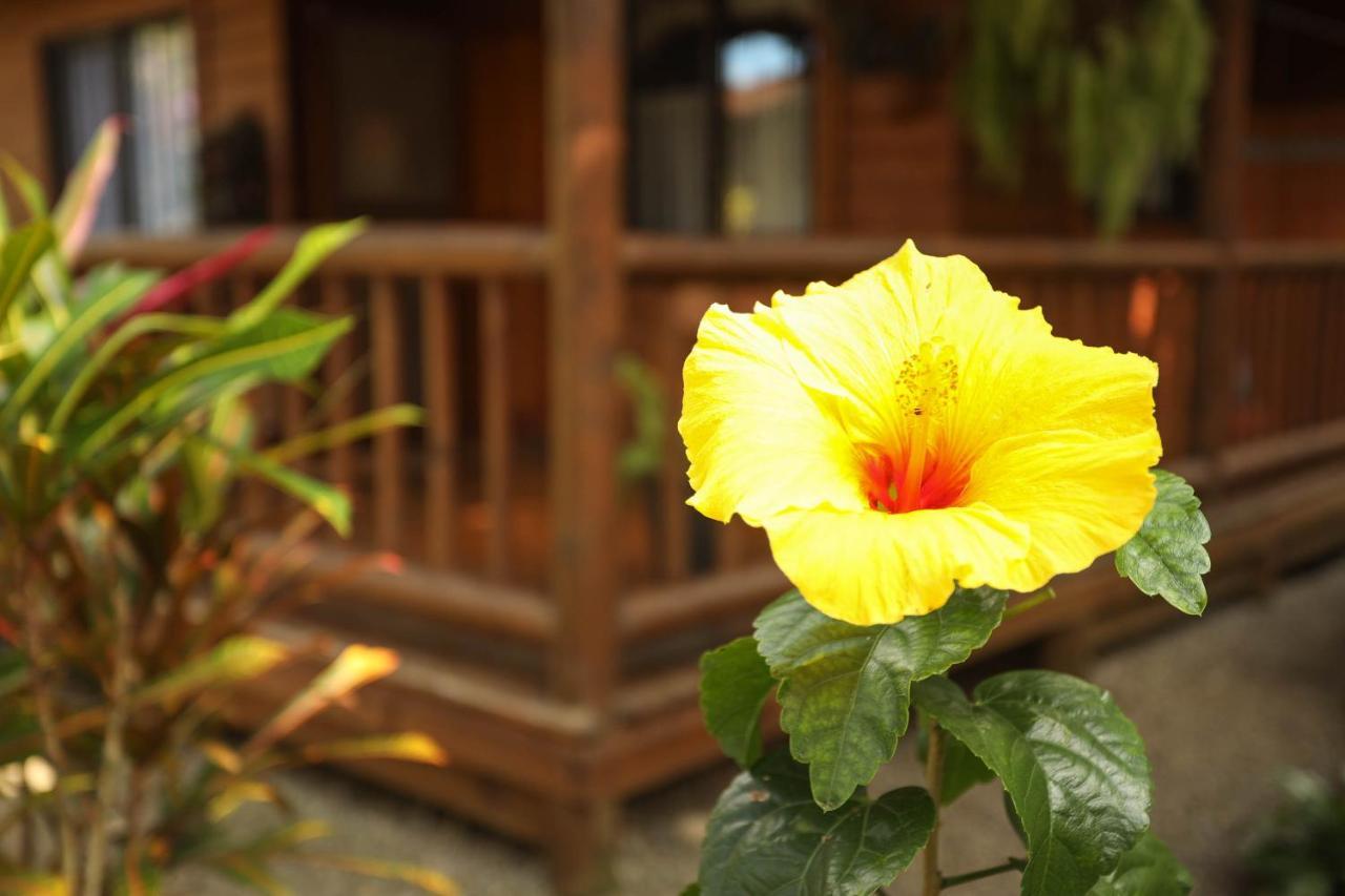 Casa Marcellino Lodge Кахуита Екстериор снимка