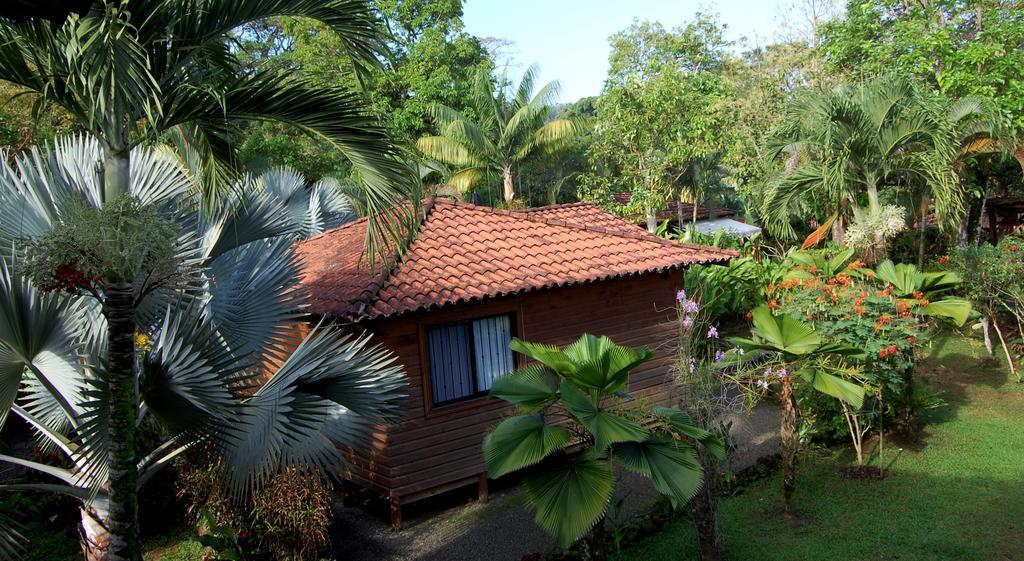 Casa Marcellino Lodge Кахуита Екстериор снимка