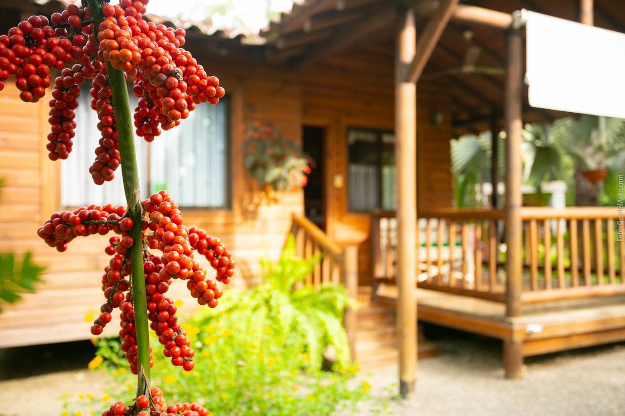 Casa Marcellino Lodge Кахуита Екстериор снимка